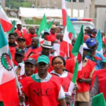 NLC Strike: Why This is Not The Solution To Worker's Plight